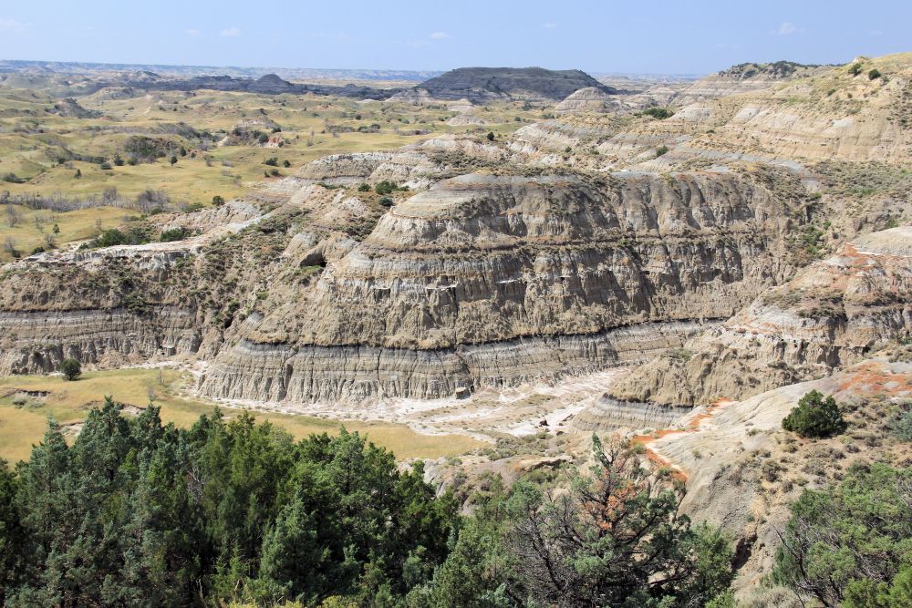 Theodore Roosevelt NP